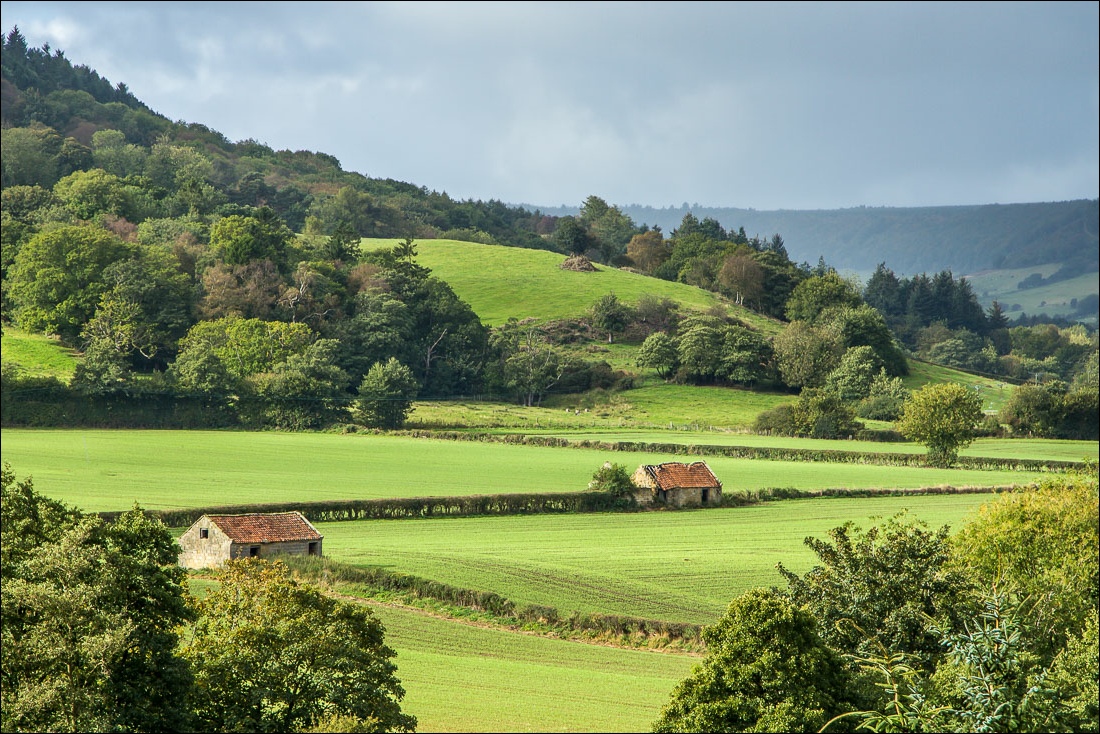 Hackness walk, River Derwent Hackness walk, River Derwent