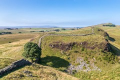 Sycamore Gap, Robin Hood Tree