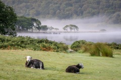 Crummock Water