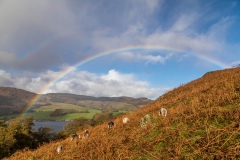 Ullswater rainbow