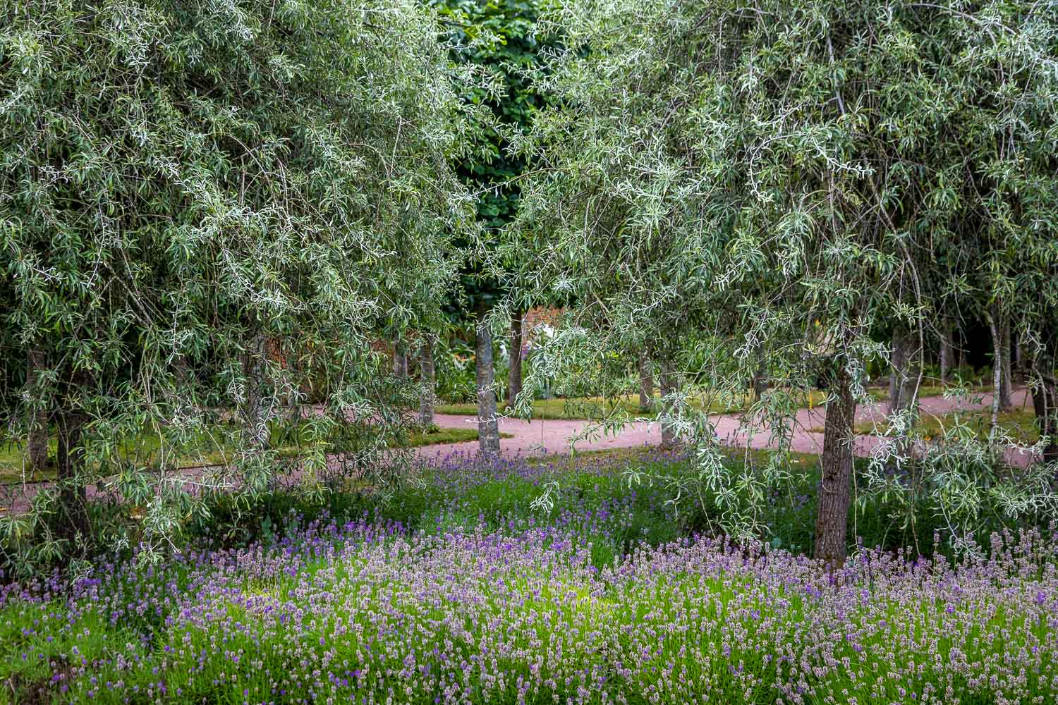 Hampton Gardens