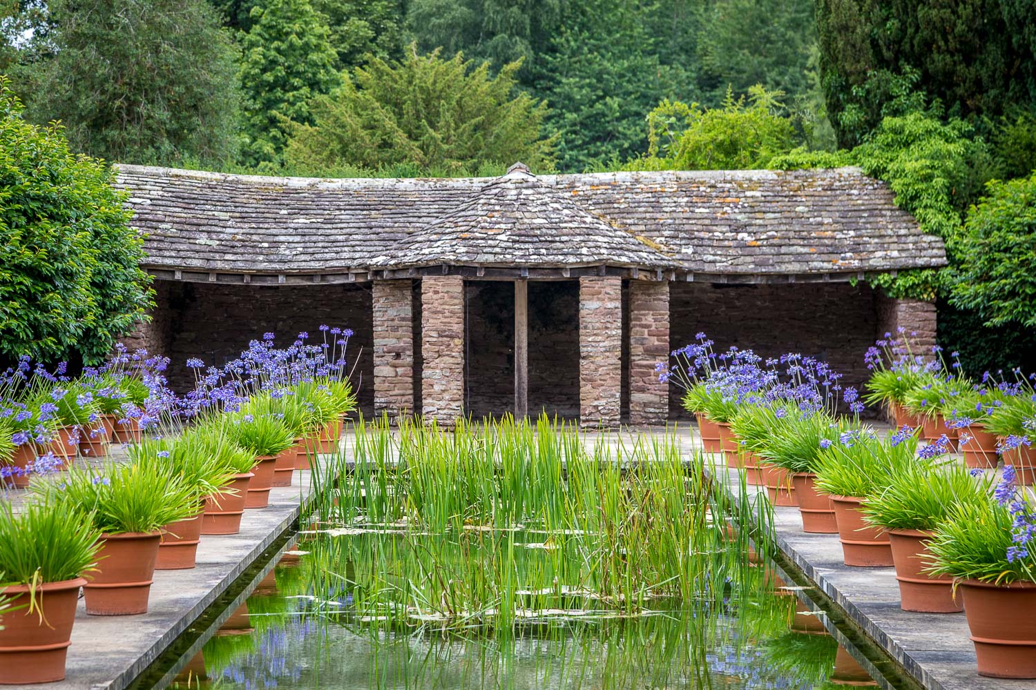 Hampton Gardens