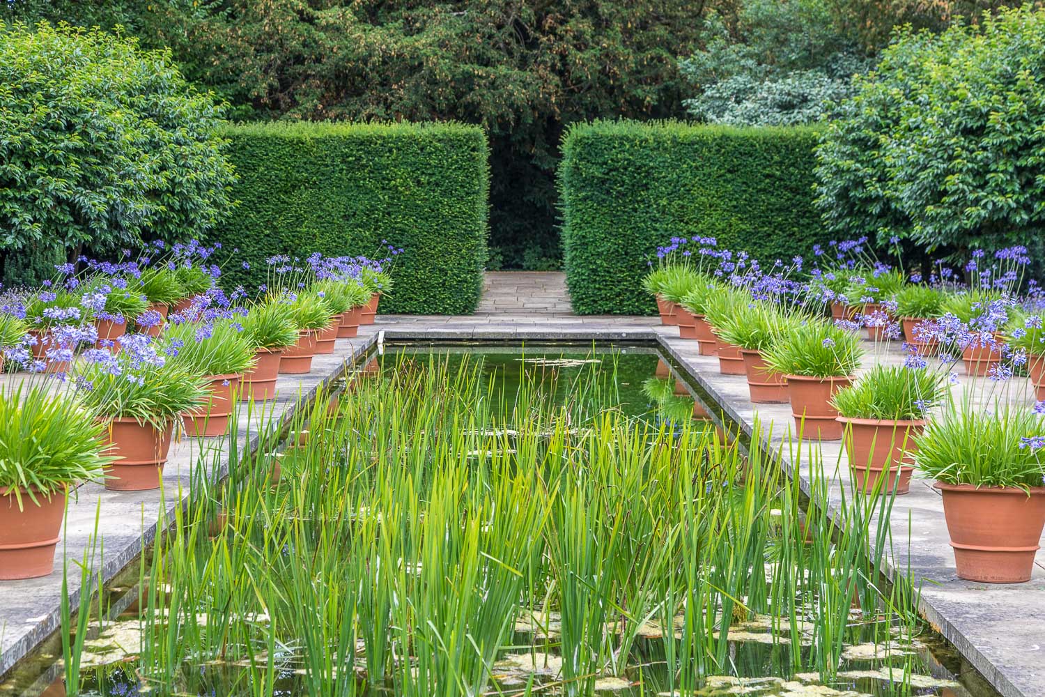Hampton Court Castle Garden, Dutch Garden