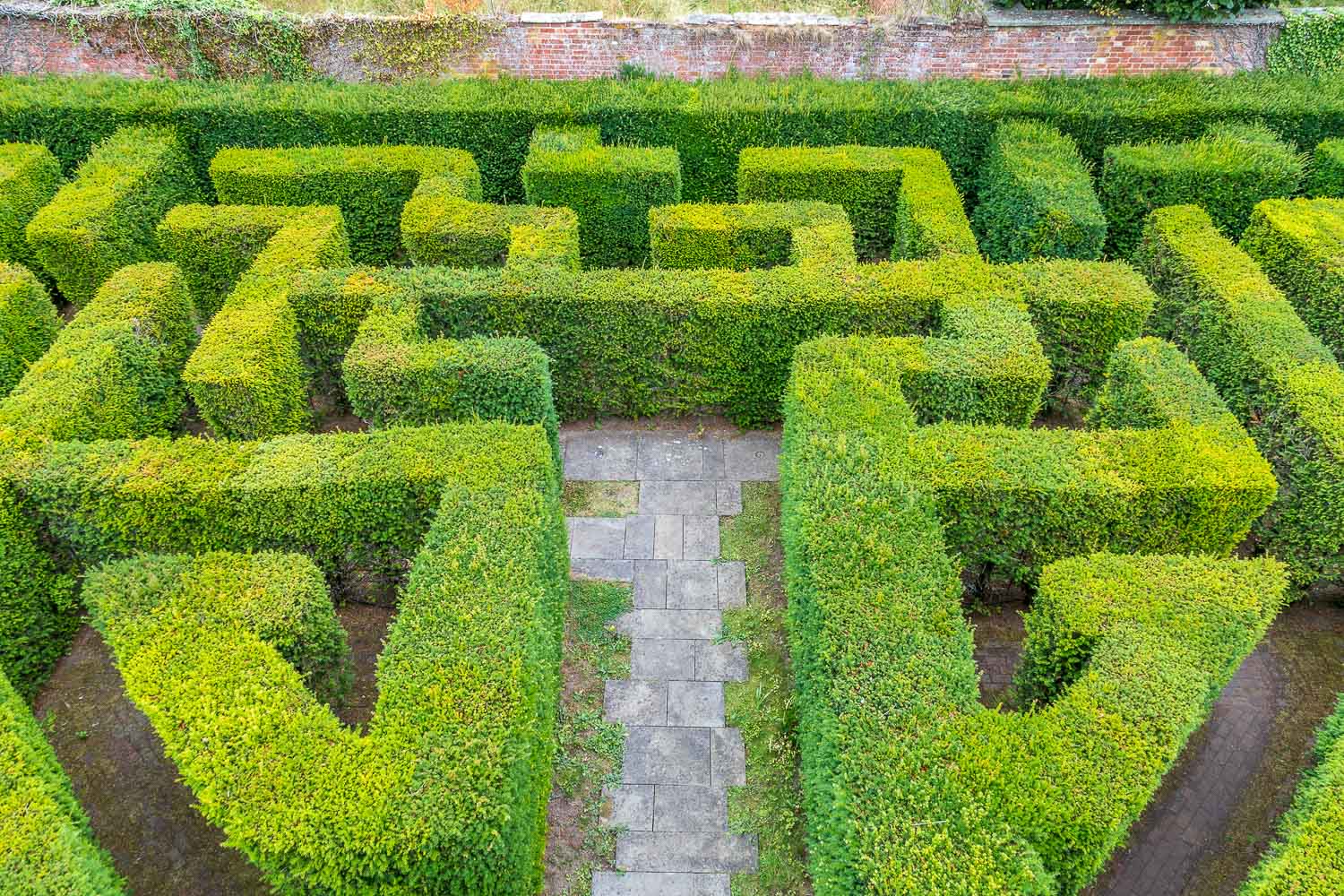Hampton Court Castle Garden, maze