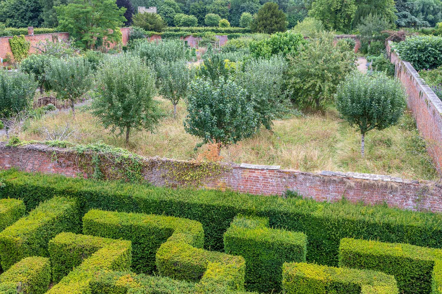 Hampton Court Castle Garden, maze