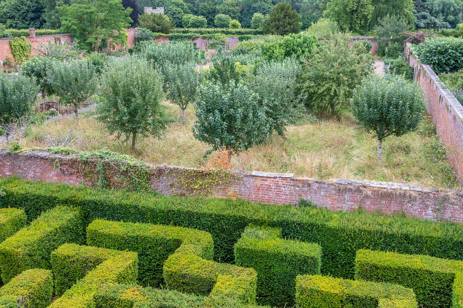 Hampton Gardens, maze