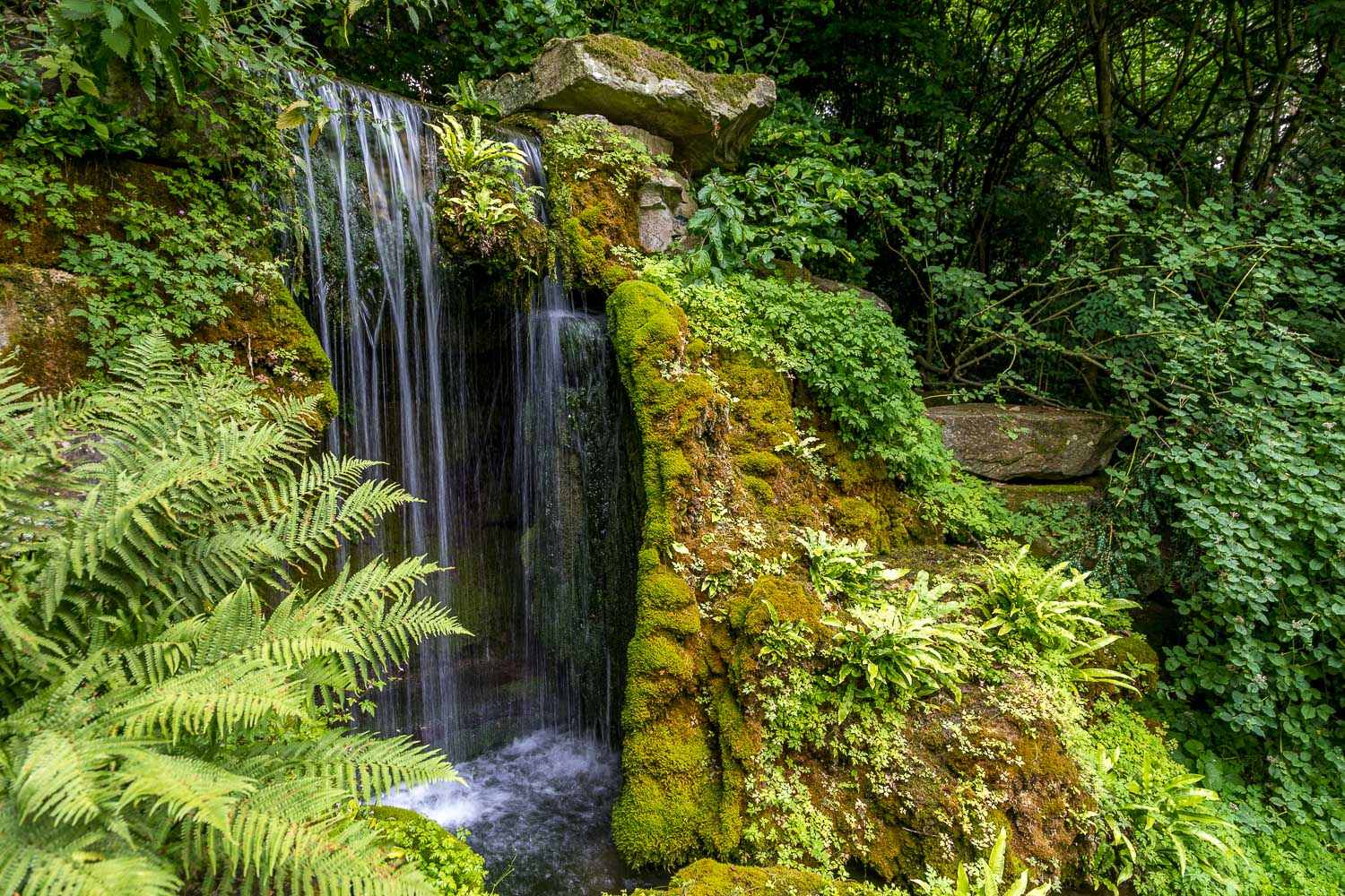 Hampton Gardens waterfall