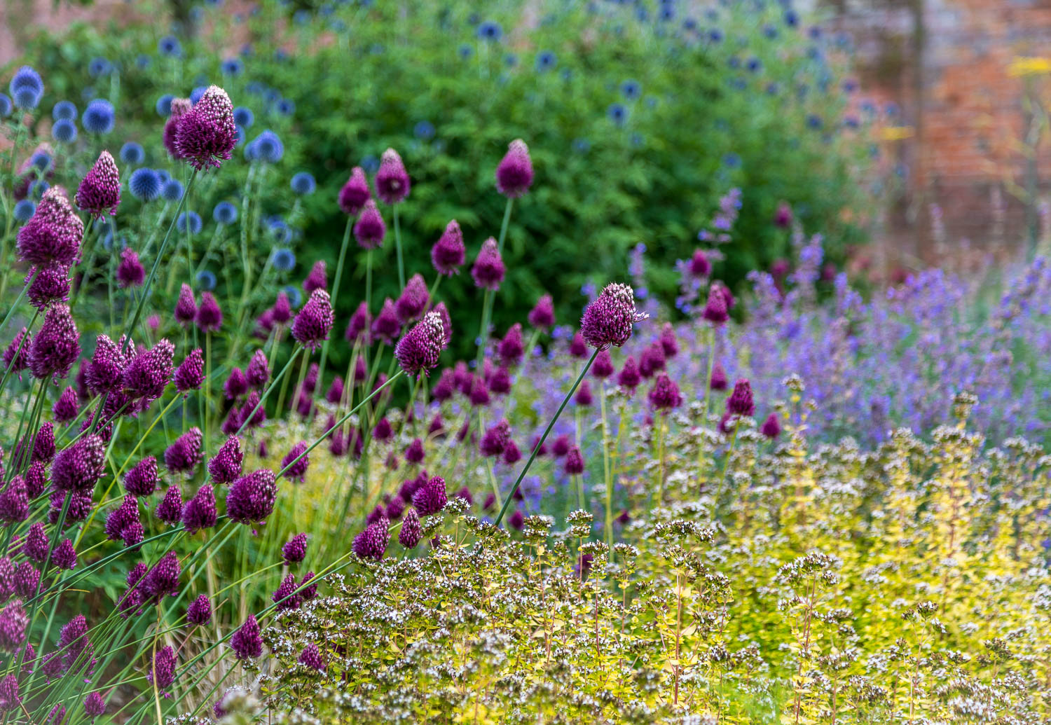 Hampton Gardens