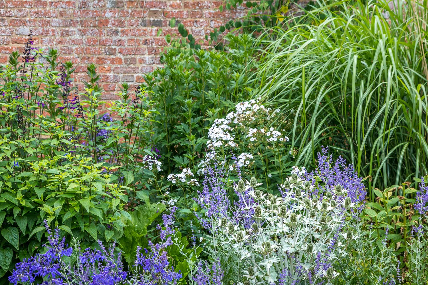 Hampton Gardens