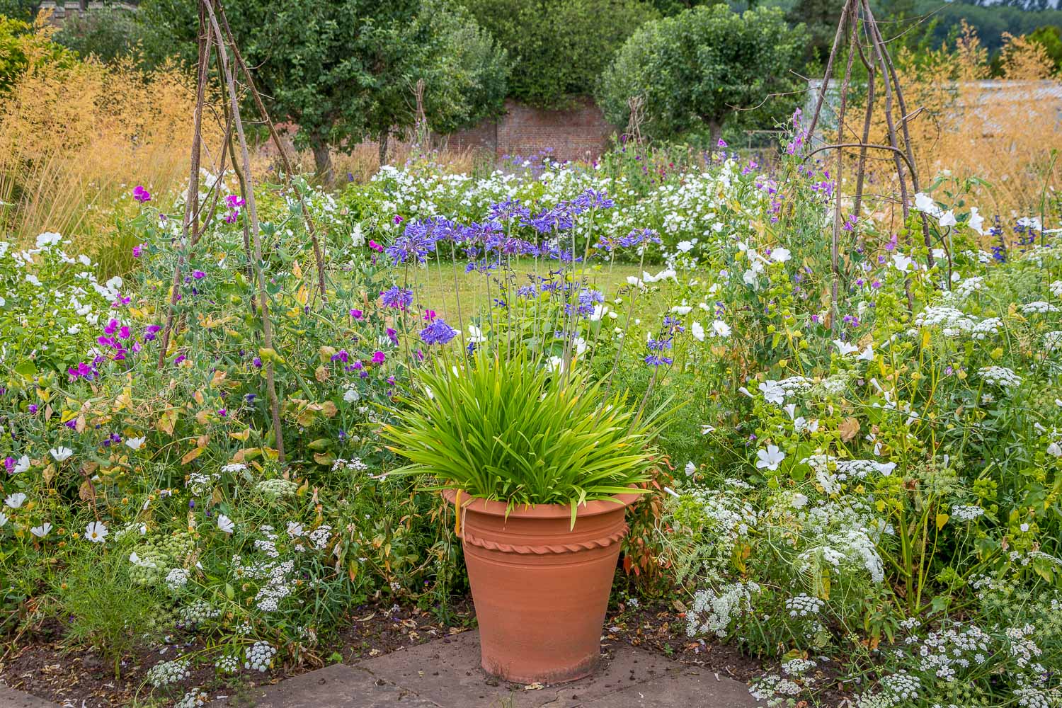 Hampton Gardens