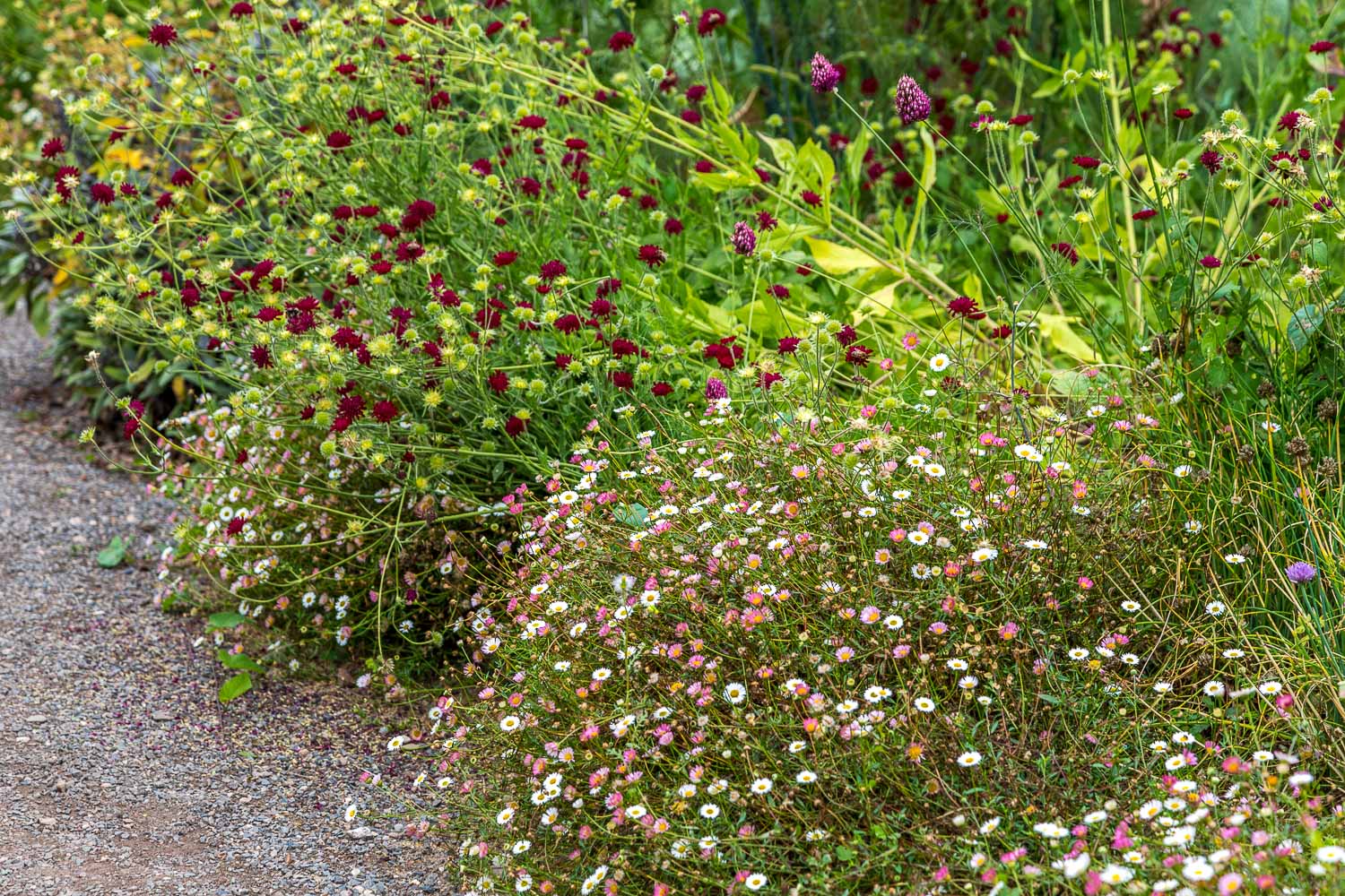 Hampton Gardens