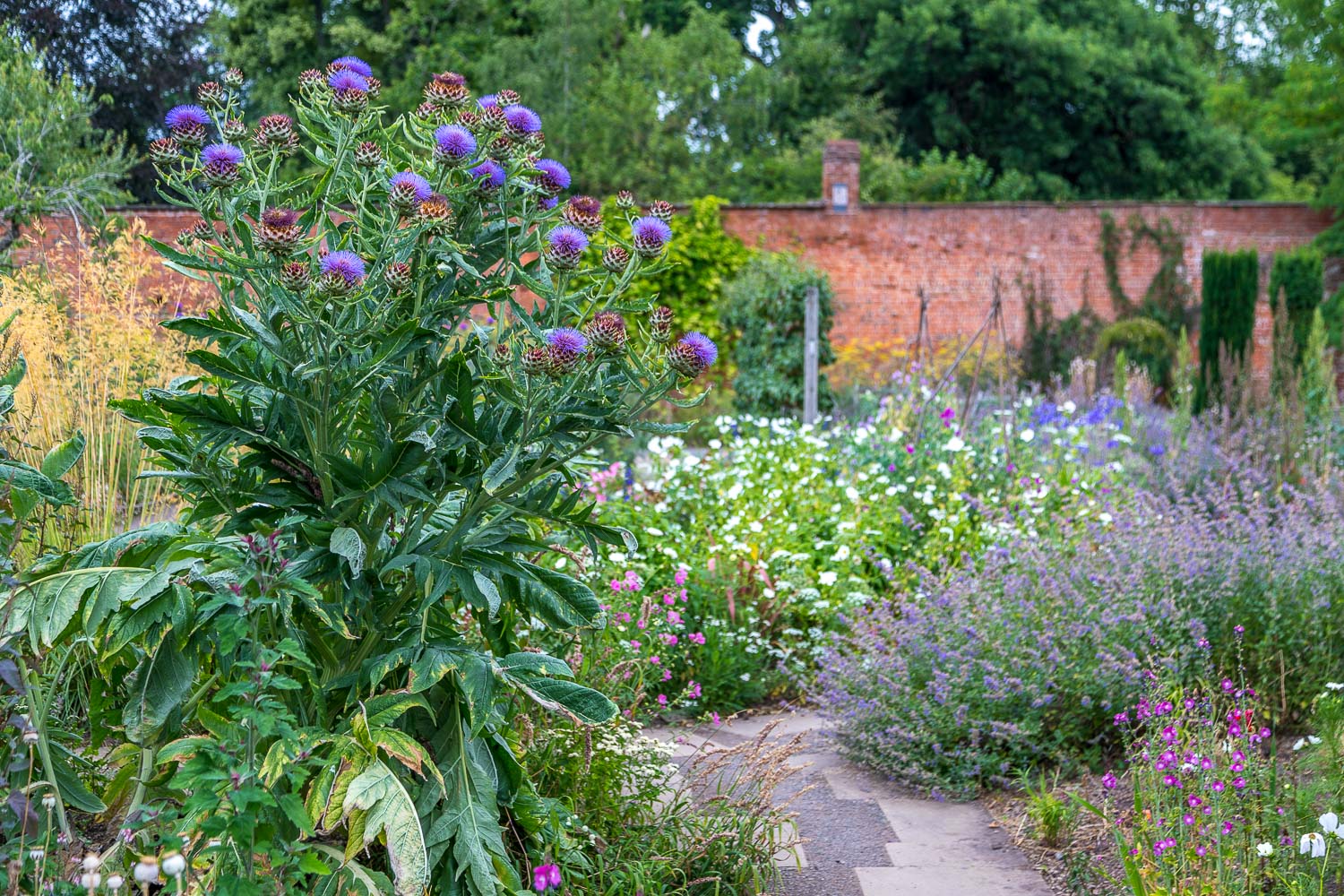 Hampton Gardens