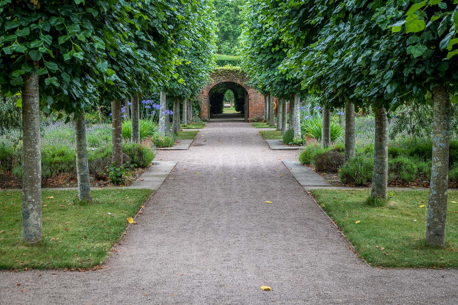 Hampton Gardens