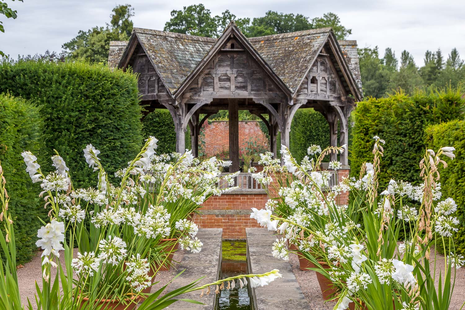 Hampton Gardens
