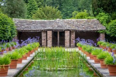 Hampton Court Castle Garden, Dutch Garden