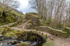Harter Fell walk
