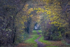 Haxey walk