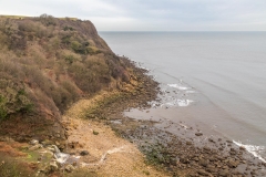 Hayburn Wyke