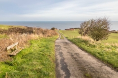 Hayburn Wyke walk