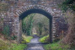 Hayburn Wyke walk