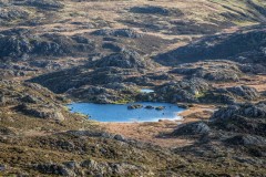 Innominate Tarn