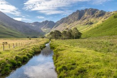 Warnscale Beck