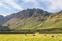 Haystacks