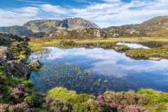Haystacks walk, Innominate Tarn