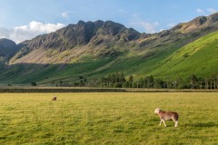 Haystacks