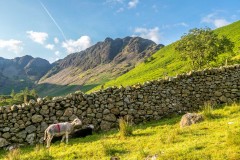 Haystacks