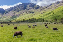 Haystacks