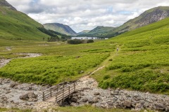 Warnscale Beck