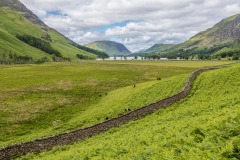 Warnscale Bottom