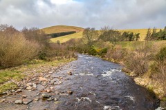 College Burn, Great Hetha