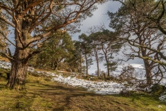High Rigg