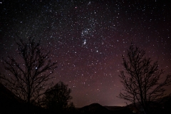 Orions Belt