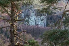 Castle Rock
