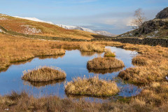 High Rigg