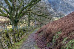 High Rigg walk