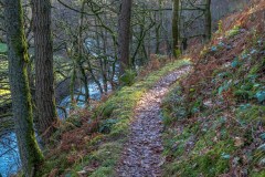 High Rigg walk
