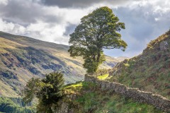 St Johns in the Vale