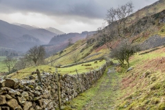High Rigg walk, St John's in the Vale