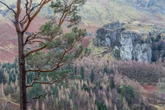 High Rigg walk, Castle Rock