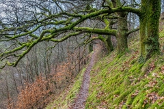 High Rigg walk, St John's in the Vale