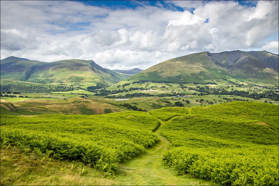 Skiddaw and Blencathra from High Rigg
