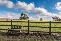 Horsepasture Wood
