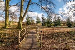 Horsepasture Wood