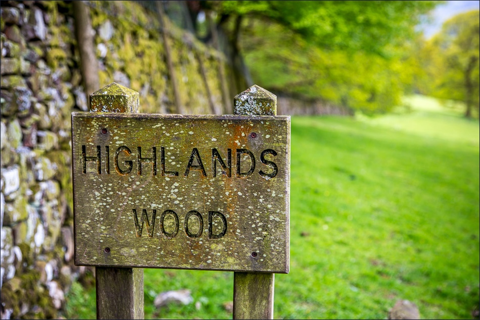 Holehird Gardens Highlands Wood