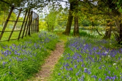 Holehird Gardens walk