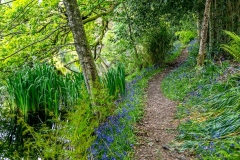 Holehird Gardens walk